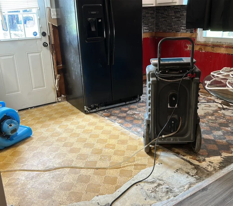 The Importance of Prompt Action in Water Damage Restoration