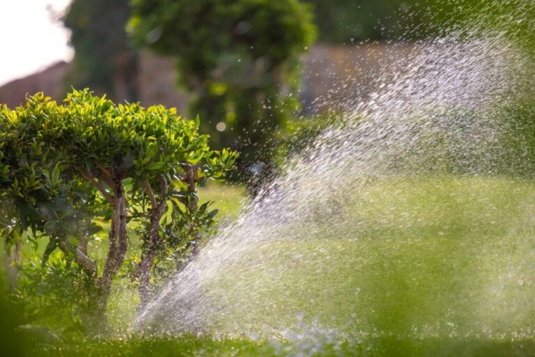Leading-edge Irrigation Maintenance Services in Port Charlotte, FL by Shaffer’s Irrigation